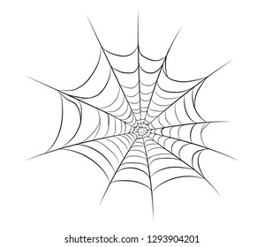 a spider's web, black line on a white background. vector image