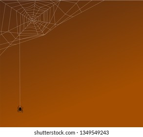 spiders web with hanging spider on a thread of web