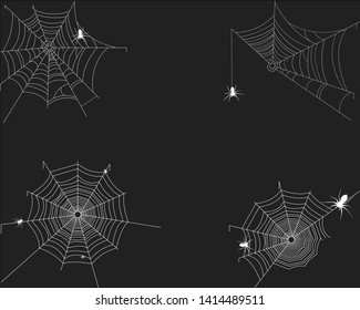 Spider's web. Horror, fear and Halloween