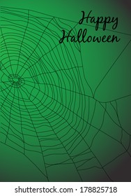Spiders web on green background