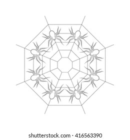 spiders & web in outline vector drawing