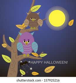 Spiders in the web tree and owl