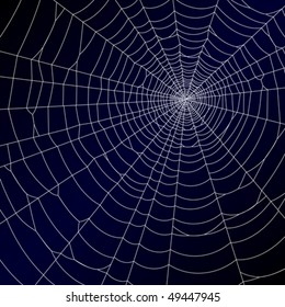 Spider's web. Vector.