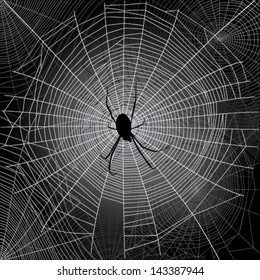 Spider's webs
