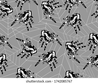 spiders and webs on a grey background, seamless vector illustration