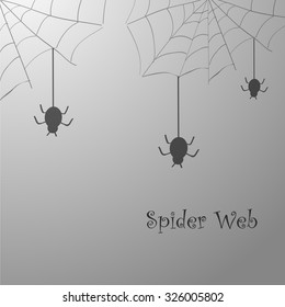 Spiders and webs over grey background.