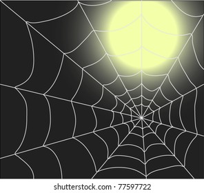 Spiderweb