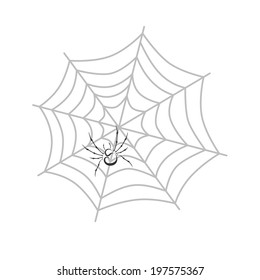 spiderweb art illustration