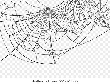 Plano de fundo Spiderweb para festa de Halloween png isolado ou textura transparente, espaço em branco para texto, modelo de elemento para cartaz, brochuras, publicidade on-line, ilustração vetorial 