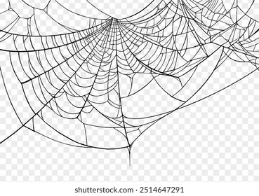 Plano de fundo Spiderweb para festa de Halloween png isolado ou textura transparente, espaço em branco para texto, modelo de elemento para cartaz, brochuras, publicidade on-line, ilustração vetorial 