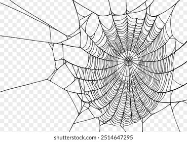 Plano de fundo Spiderweb para festa de Halloween png isolado ou textura transparente, espaço em branco para texto, modelo de elemento para cartaz, brochuras, publicidade on-line, ilustração vetorial 