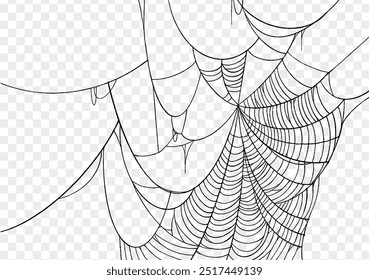 Plano de fundo Spiderweb para festa de Halloween png isolado ou textura transparente, espaço em branco para texto, modelo de elemento para cartaz, brochuras, publicidade on-line, ilustração vetorial 