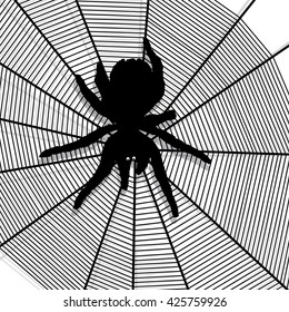 spiderweb cobweb halloween pattern background vector spider web creepy texture gossamer insect objects scary Spider's illustration.