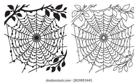 spiderweb with dew drops and leaves illustration featuring nature, intricate, pattern