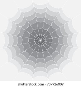 Spiderweb in droplets of dew. Background for the design of Halloween and the Day of Death. Sketch for tattoo. Color Vector illustration of EPS8.