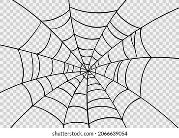 Spiderweb hand drawn brush style isolated on png or transparent background.Graphic resources for Halloween.Vector illustration