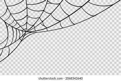 Spiderweb hand drawn brush style isolated on png or transparent background. Graphic resources for Halloween.Vector illustration