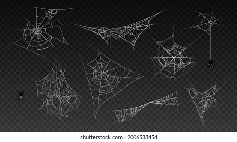 Spiderweb with hanging spider insect, isolated set of cobwebs, old and scary, dark and vintage. Halloween traditional decoration for haunted houses. Tangled threads. Cartoon vector illustration