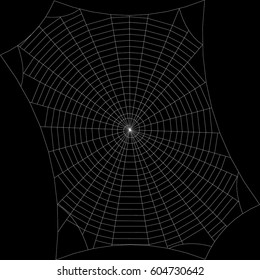 Spiderweb. Isolated on black background. Vector outline illustration.