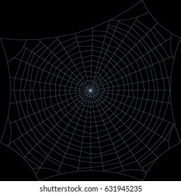 Spiderweb. Isolated on black background. Vector outline illustration.