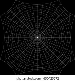 Spiderweb. Isolated on black background. Vector outline illustration.