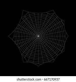 Spiderweb. Isolated on black background. Vector outline illustration.