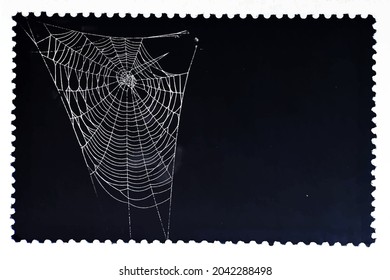 Spiderweb isolated on black postage stamp. Cobweb frame. Halloween party design. Texture of spider web. Scary Halloween decoration. Gothic style. Copy space. Vector black and white illustration