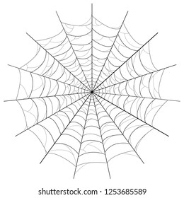 Spiderweb on white background - illustration