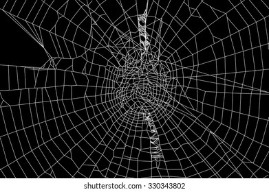 spiderweb silhouette