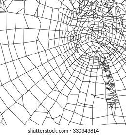 spiderweb silhouette