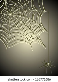 Spiderweb with Spider
