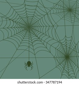 spiderweb with spider background square vector illustration