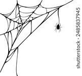 Spiderweb with spider, for corner placement, vector illustration, black on transparent background