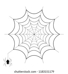 Spiderweb and spider isolated on white background. Halloween cobweb for scary design. Vector illustration