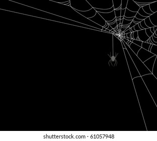 Spiderweb and spider on black background