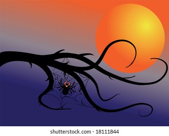 A spiderweb with spider on a night sky background with a orange moon