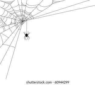 Spiderweb and spider on white background