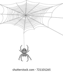 A Spiderweb with Spider on white background