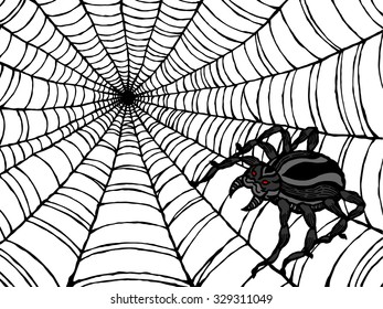 spiderweb, spider web, vector illustration design, hand drawn