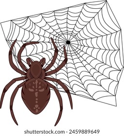 Spiderweb and spiders on white background. Vector illustration on halloween