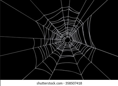 Spiderweb vector