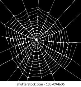 Spiderweb vector background. Halloween design. Cobweb decor isolated on the white.