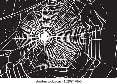 spiderweb vector; black and white
