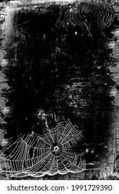 Spiderwebs isolated on black grunge background. Cobweb frame. Halloween party. Texture of spider web. Horror scary Halloween decoration. Gothic style. Copy space. Vector black and white illustration