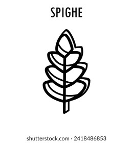 Spighe pasta doodle food illustration. Hand drawn graphic print of short macaroni type of pasta. Vector line art food ingredient of Italian cuisine