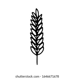 Spike is a hand drawn line drawing isolated on a white background.Black and white image.Flora and fauna.Floral design.Doodles.Vector illustration