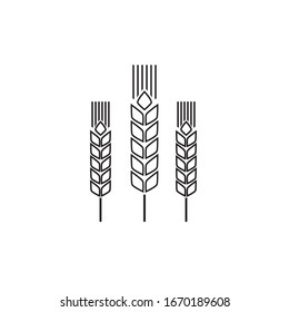 Spike line icon. Agriculture, natural, harvest symbol and illustration Vector