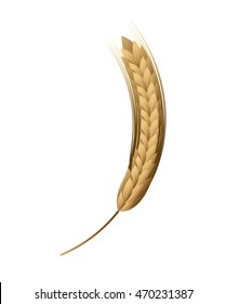 spike nature isolated icon vector illustration design