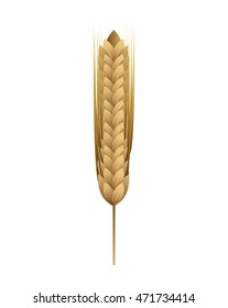spike nature isolated icon vector illustration design