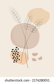 spike, nature, wheat, grain, abstraction, harvest, barley, ear of wheat.